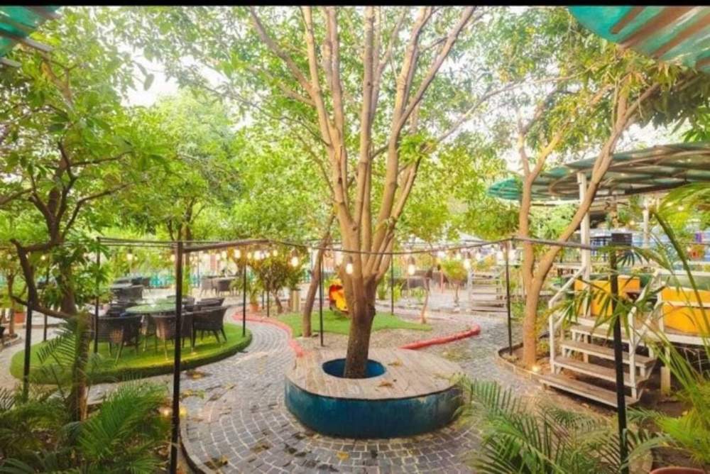 Tree-shaded courtyard at 32° North East with machaan seating